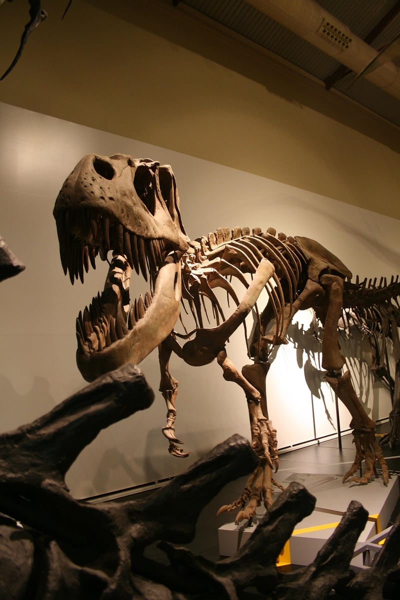 Prehistoric Era